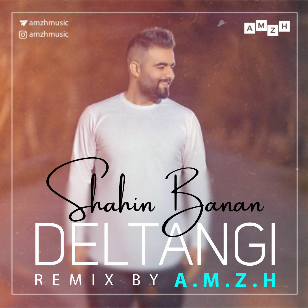 Track 24639 - Shahin Banan